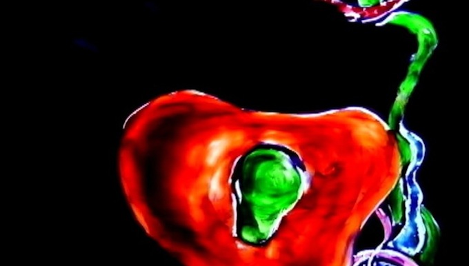 Danza Macabra — short film | Los Cortos