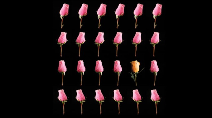 Rosas de Color Rosa — short film directed by Otto Scheuren | Los Cortos