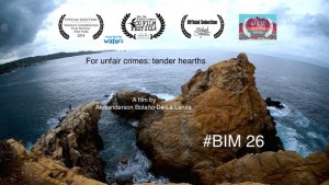 BIM26