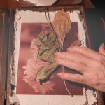 The Box of Memories — short film directed by Ileana Andrea Gómez Gavinoser | Los Cortos
